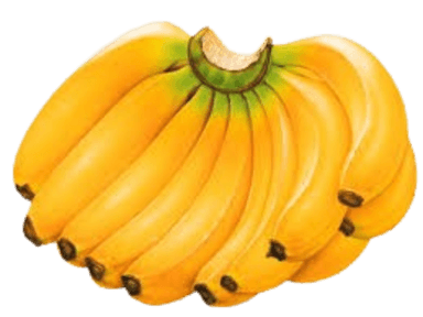 Banana Bunch
